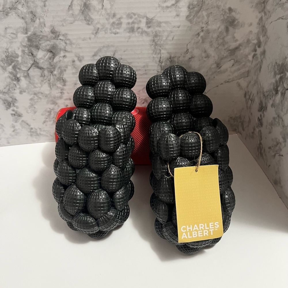 Charles Albert Slides - image 1